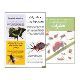 کتاب دانستنی های شگفت انگیزی از حشرات اثر آندریا میلز انتشارات اعتلای وطن