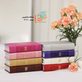 دیوان حافظ پالتویی