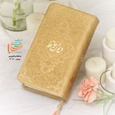 دیوان حافظ پالتویی