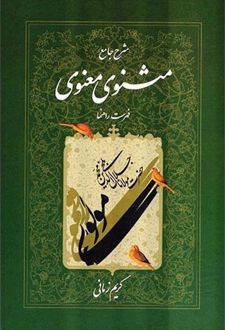 شرح جامع مثنوی معنوی دفتر هفتم