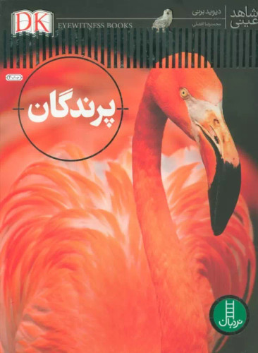 شاهد عینی پرندگان