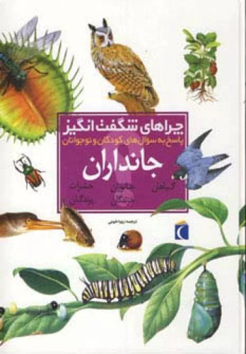 چراهای شگفت انگیز جانداران