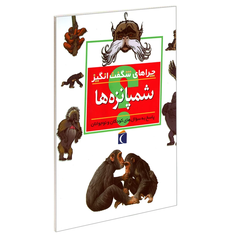 چراهای شگفت انگیز شمپانزه ها