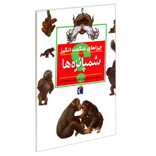 چراهای شگفت انگیز شمپانزه ها