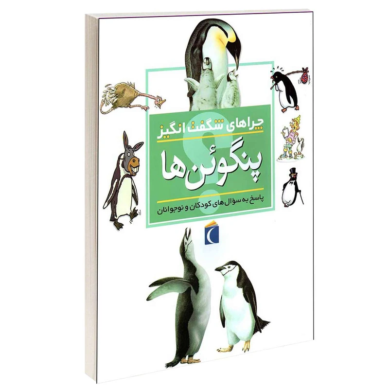 چراهای شگفت انگیز پنگوئن ها