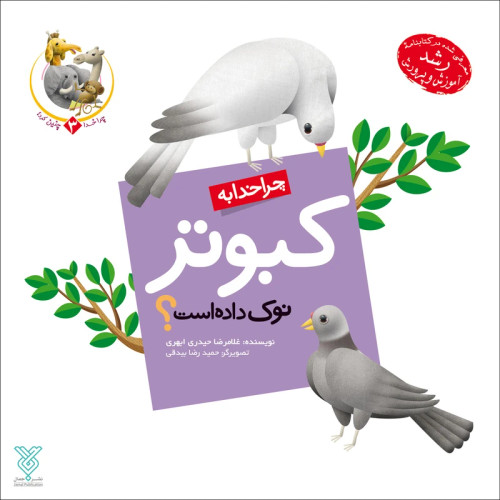 چرا خدا به کبوتر نوک داده است